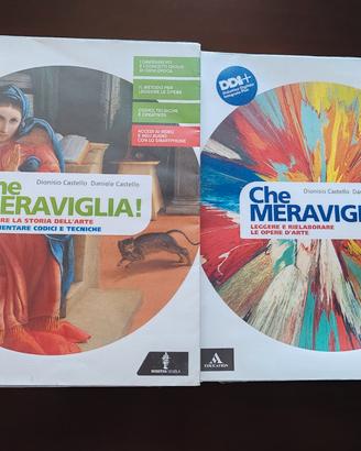 Che meraviglia(storia dell'arte) 