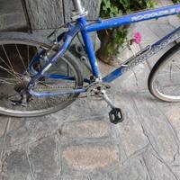 Bici Mountain bike