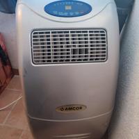 Pinguino amcor ben funzionante