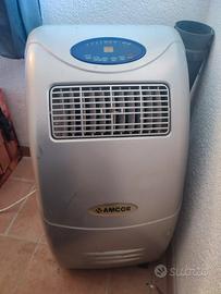 Pinguino amcor ben funzionante