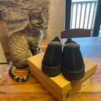 UGG  TAZZ  nuove  n. 36