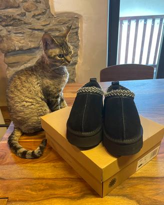 UGG  TAZZ  nuove  n. 36