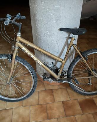 Mtb mountain bike