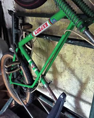 Bici da cross