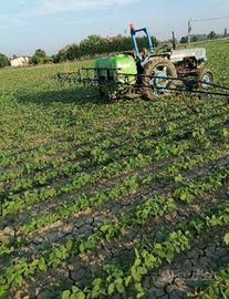 Terreno agricolo