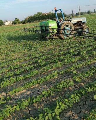 Terreno agricolo