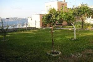 Villino con giardino sul porto di Procida