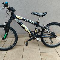 bicicletta 