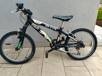 bicicletta 