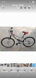 Mountain bike bottecchia 