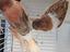 Immagine 3