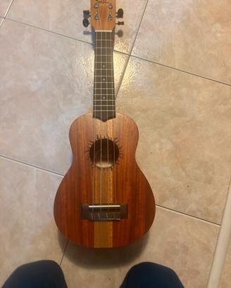 Ukulele soprano  + custodia
