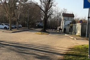 Bosco a Gallarate zona crenna