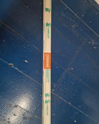 tubi neon OSRAM LUMILUX 