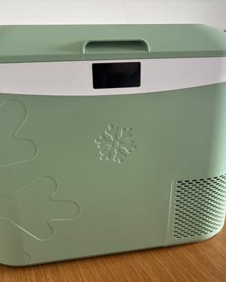 BINGI Frigorifero Portatile Elettrico 22L