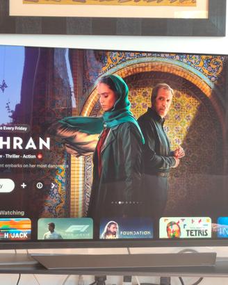 TV LG OLED55E8PLA