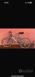 Bici maino