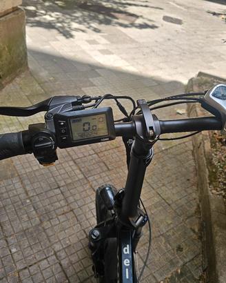 bicicletta elettrica 