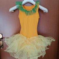 tutù danza costume vestito da ballerina carnevale 