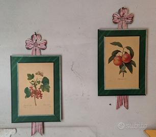 STAMPE BOTANICHE SU LEGNO (Pierre Joseph Redouté)