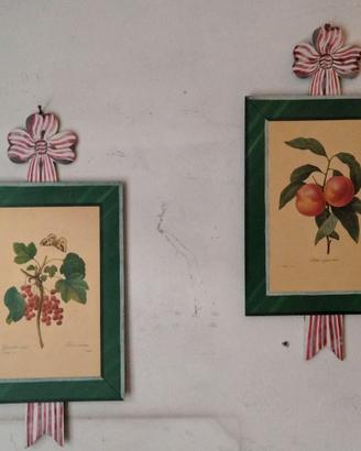 STAMPE BOTANICHE SU LEGNO (Pierre Joseph Redouté)