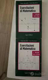 libri esercitazioni di matematica volume 1 e 2