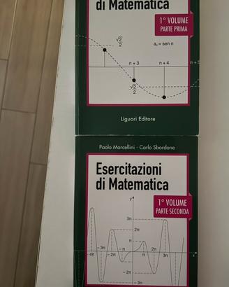 libri esercitazioni di matematica volume 1 e 2