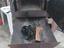 Immagine 5