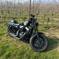 Harley Davidson Fortyeight XL 2017