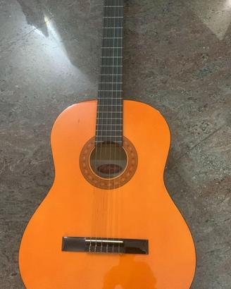 Chitarra acustica