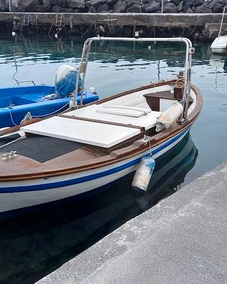 BARCA  SENZA PATENTE MOTORE ENTROBORDO NUOVO 25 CV