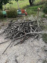 Legno di ulivo