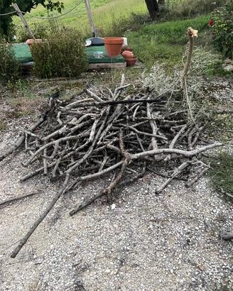 Legno di ulivo