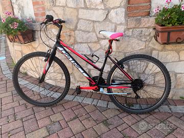 Bicicletta Mountain Bike MBM