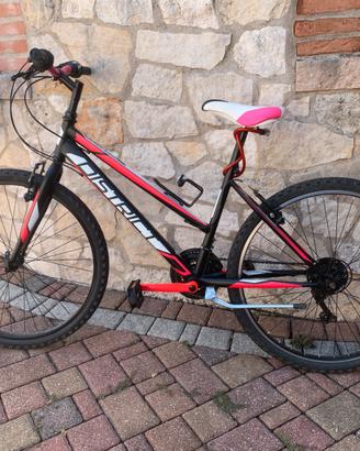 Bicicletta Mountain Bike MBM