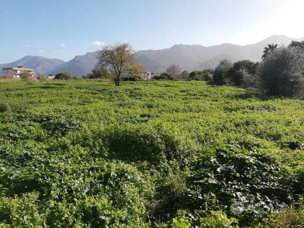 Terreno agricolo via Santicelli/Paruta