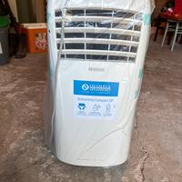 Climatizzatore Olimpia Splendid tipo “Pinguino”