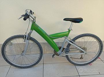 bicicletta 