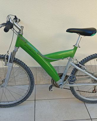 bicicletta 
