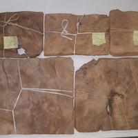 Radica di noce nazionale