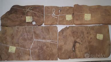 Radica di noce nazionale