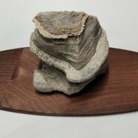 Base in legno per elementi compagnia Bonsai