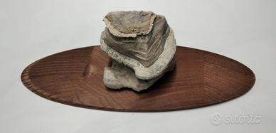 Base in legno per elementi compagnia Bonsai