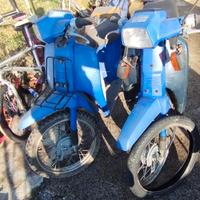 honda scoopy 50 
