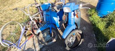 honda scoopy 50 
