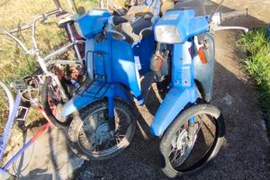 honda scoopy 50 