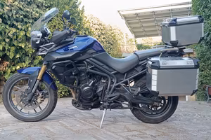 Triumph Tger 800 depotenziata (A2)