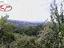 Immagine 7
