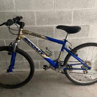 Bicicletta