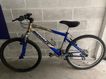 Bicicletta